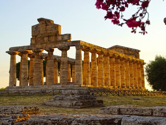 Paestum and buffalo mozzarella cheese farm